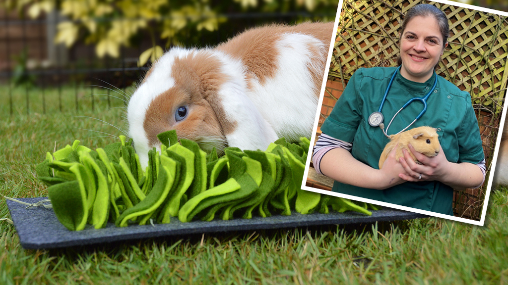 Keeping your rabbit and guinea pig happy and healthy as we head into spring